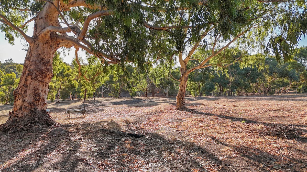 931 Coondle West Road, West Toodyay, WA, 6566 - Image 22