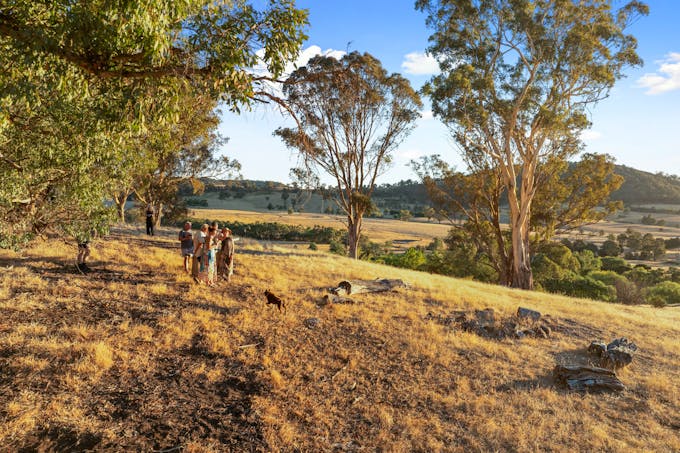 155 Shanks Lane, Boorolite, VIC, 3723 - Image 1