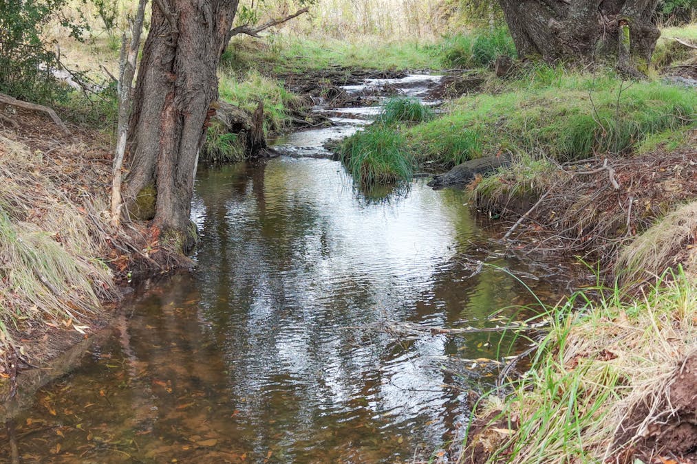 155 Shanks Lane, Boorolite, VIC, 3723 - Image 24