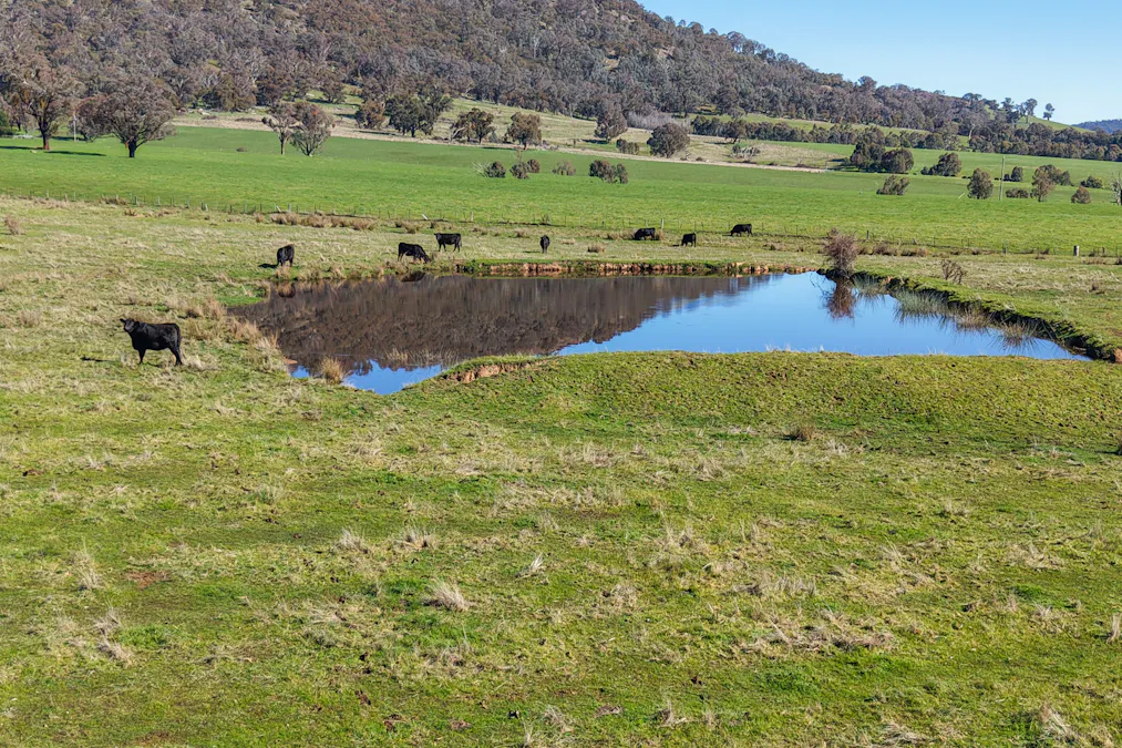 155 Shanks Lane, Boorolite, VIC, 3723 - Image 2
