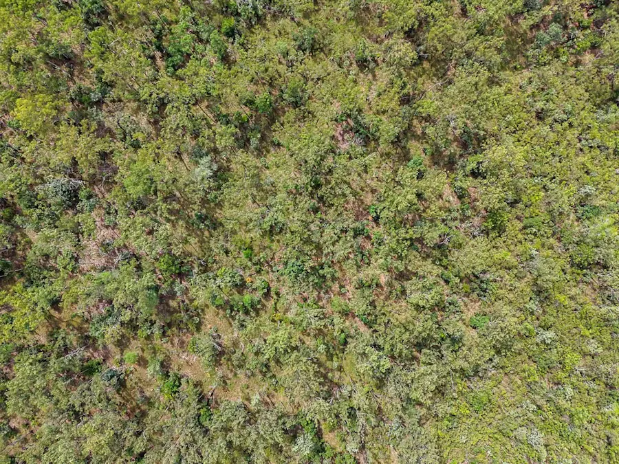 405 Barramundi Drive, Dundee Downs, NT, 0840 - Image 5