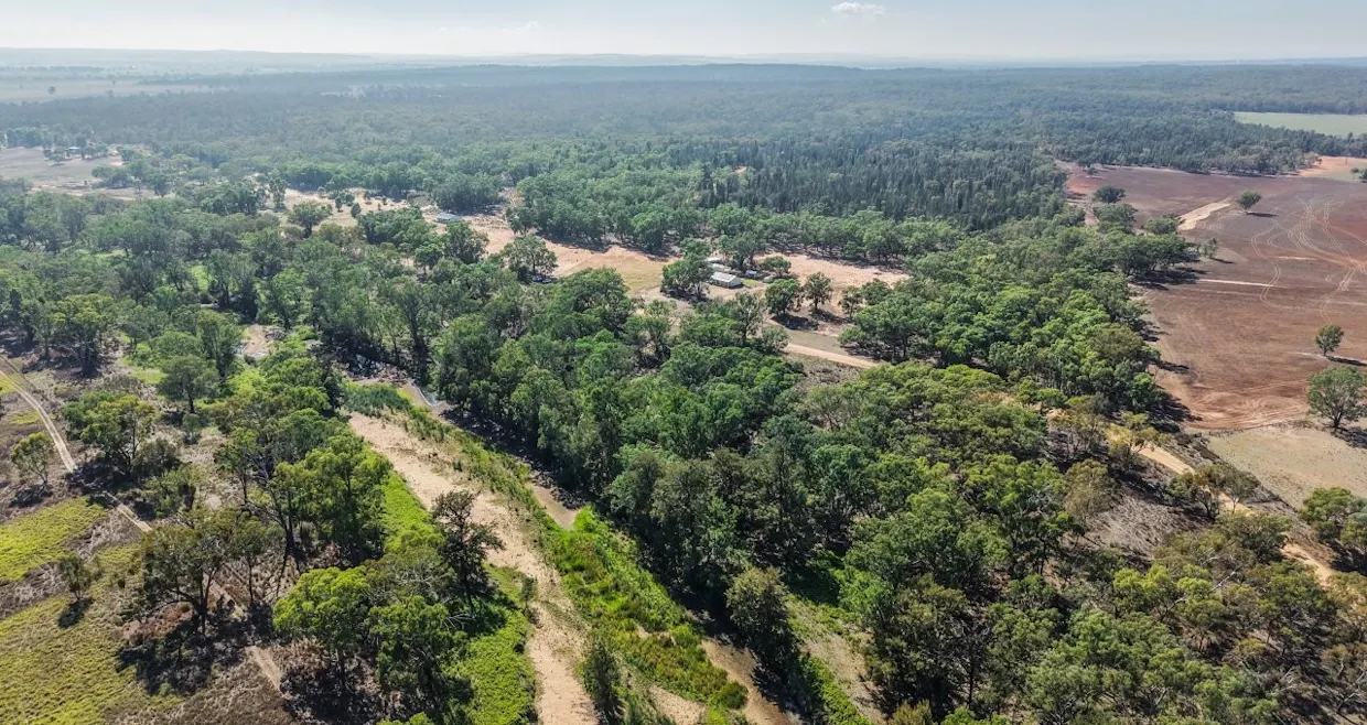 136 Bilamurru Road, Mendooran, NSW, 2842 - Image 23