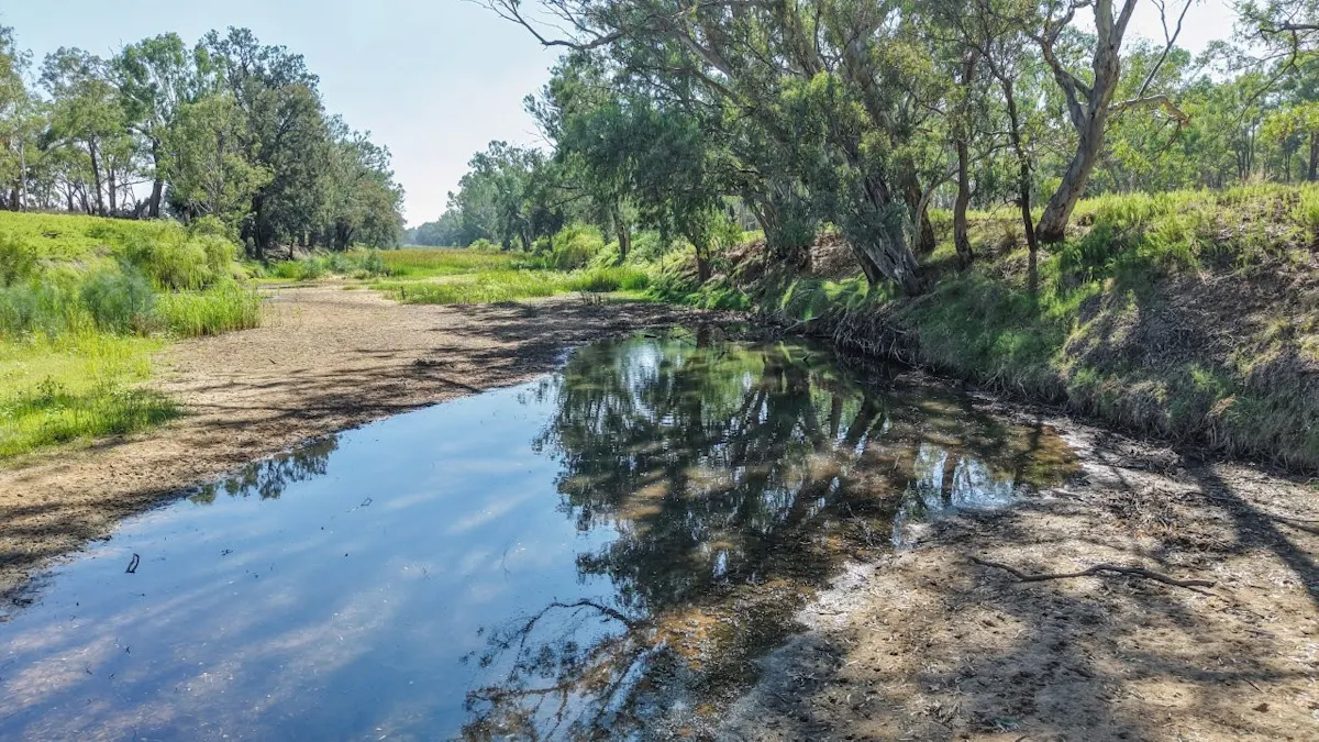 136 Bilamurru Road, Mendooran, NSW, 2842 - Image 24