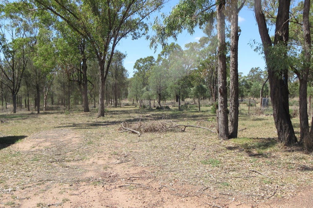 Tara, QLD, 4421 - Image 13