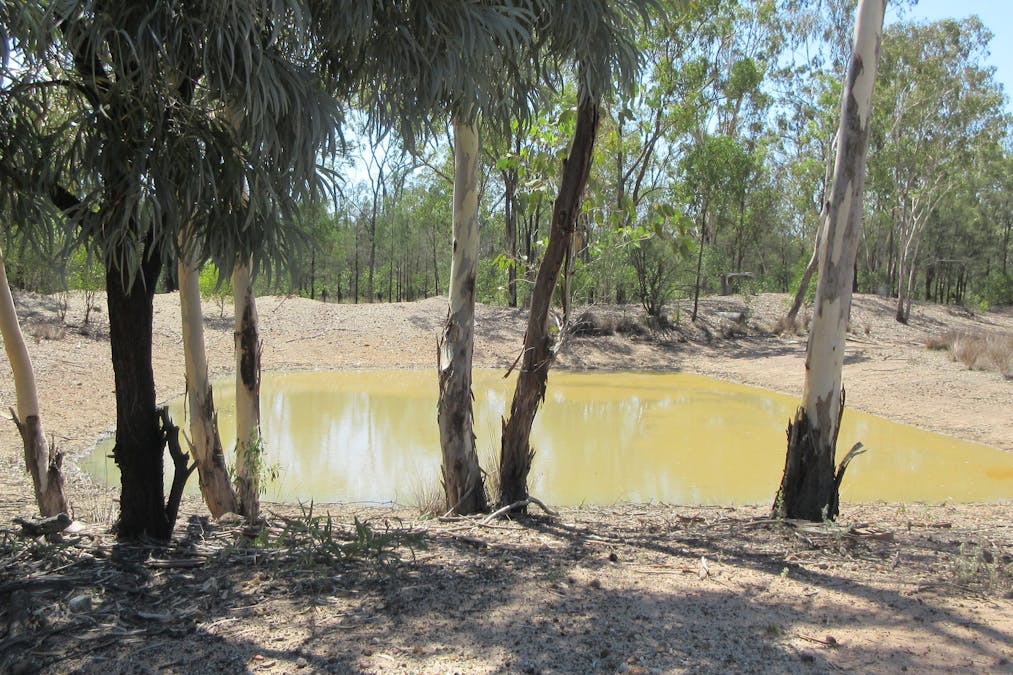 Tara, QLD, 4421 - Image 16