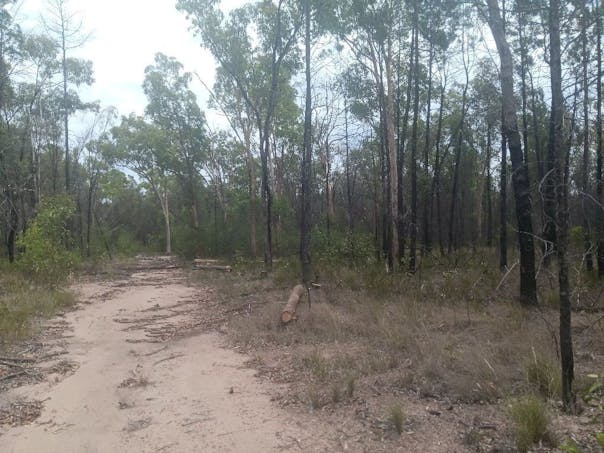 872 South Road, Tara, QLD, 4421 - Image 1