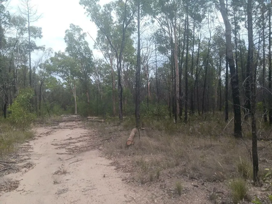 872 South Road, Tara, QLD, 4421 - Image 3