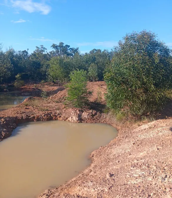 872 South Road, Tara, QLD, 4421 - Image 8