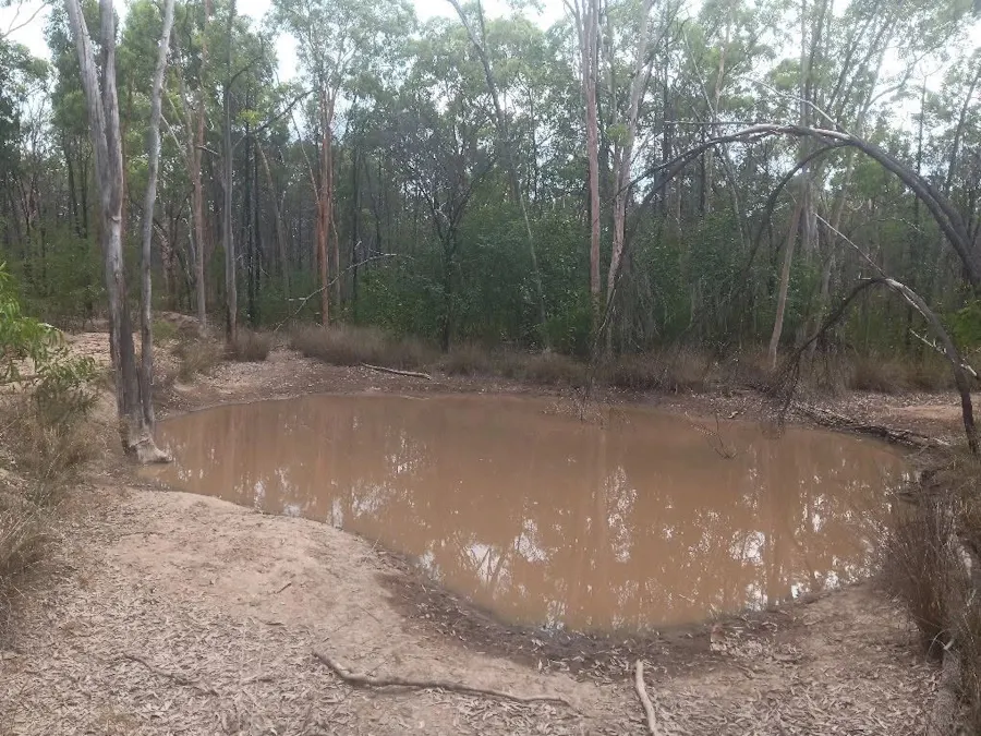 872 South Road, Tara, QLD, 4421 - Image 17