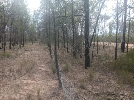 872 South Road, Tara, QLD, 4421 - Image 18