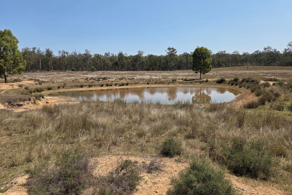 Allies Creek Road, Cadarga, QLD, 4626 - Image 10