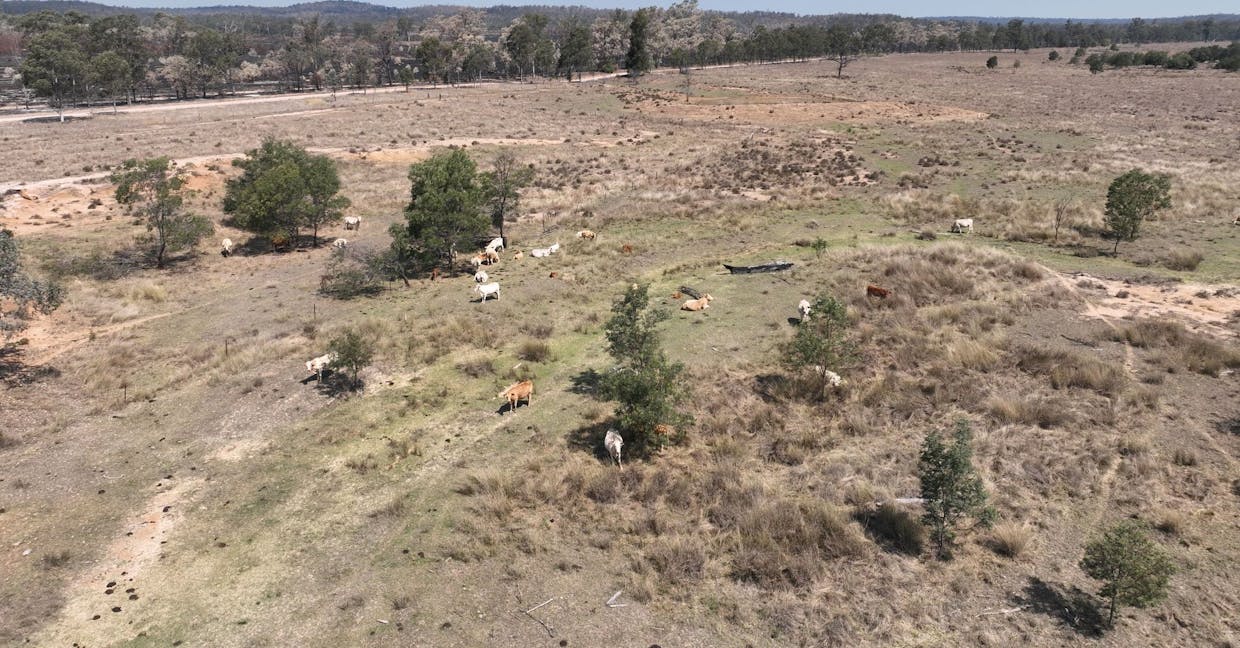 Allies Creek Road, Cadarga, QLD, 4626 - Image 6