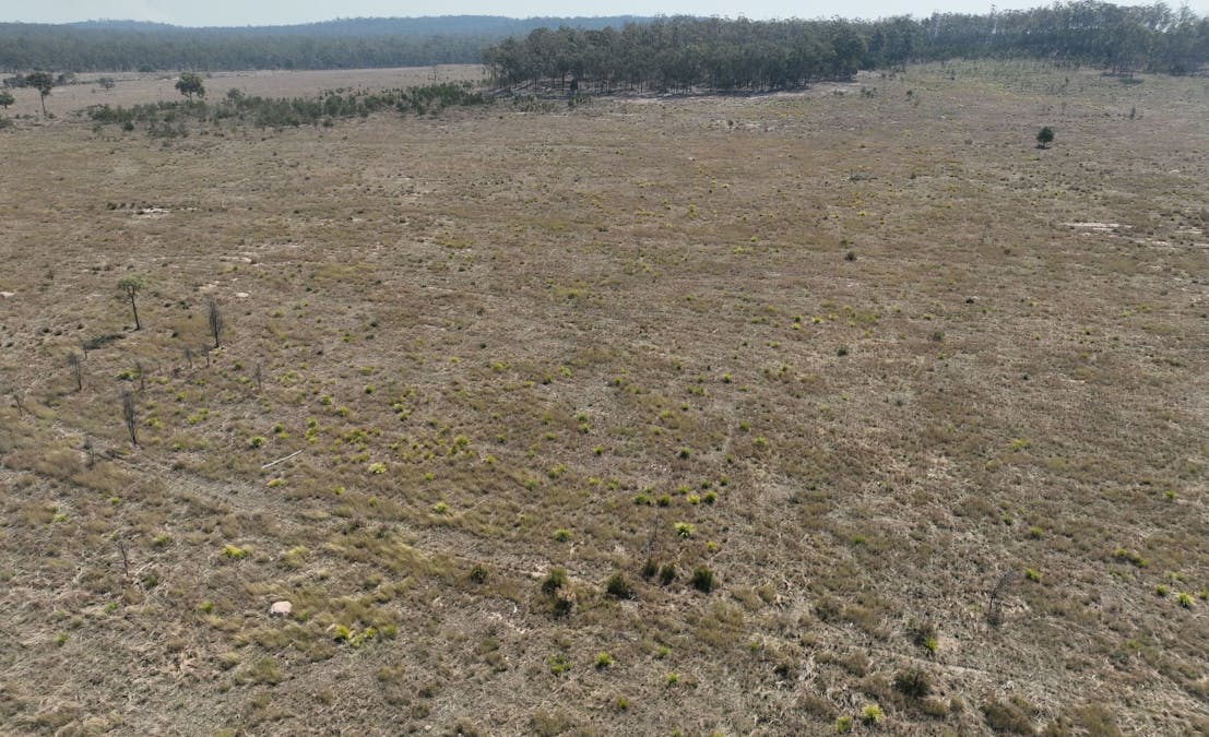 Allies Creek Road, Cadarga, QLD, 4626 - Image 13