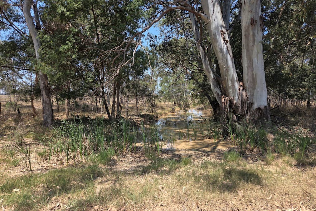 Allies Creek Road, Cadarga, QLD, 4626 - Image 21