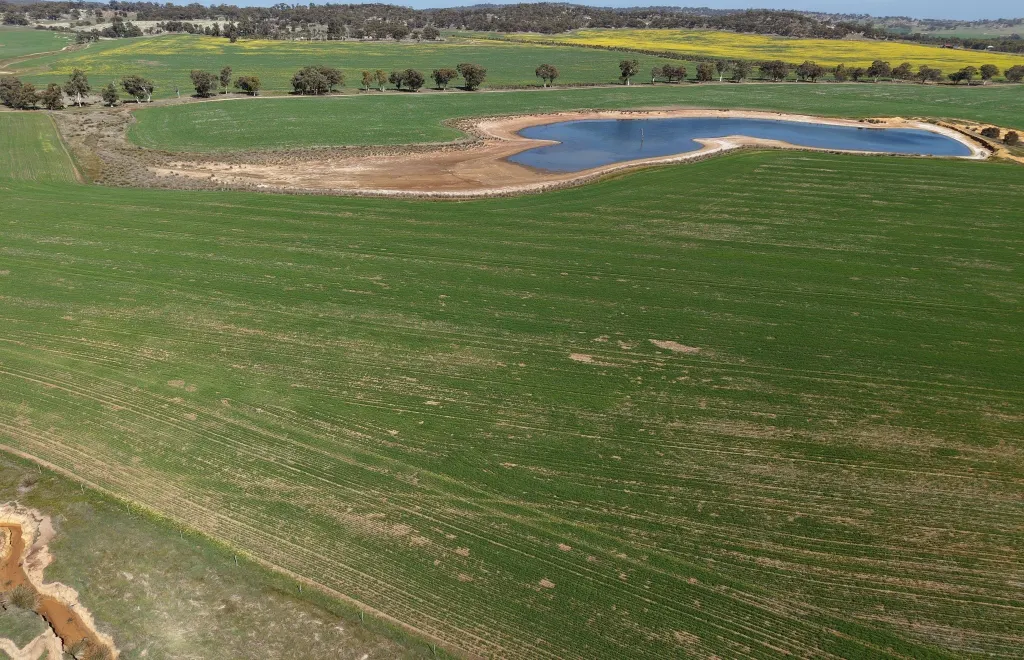 Butchers Road, Dale, WA, 6304 - Image 19