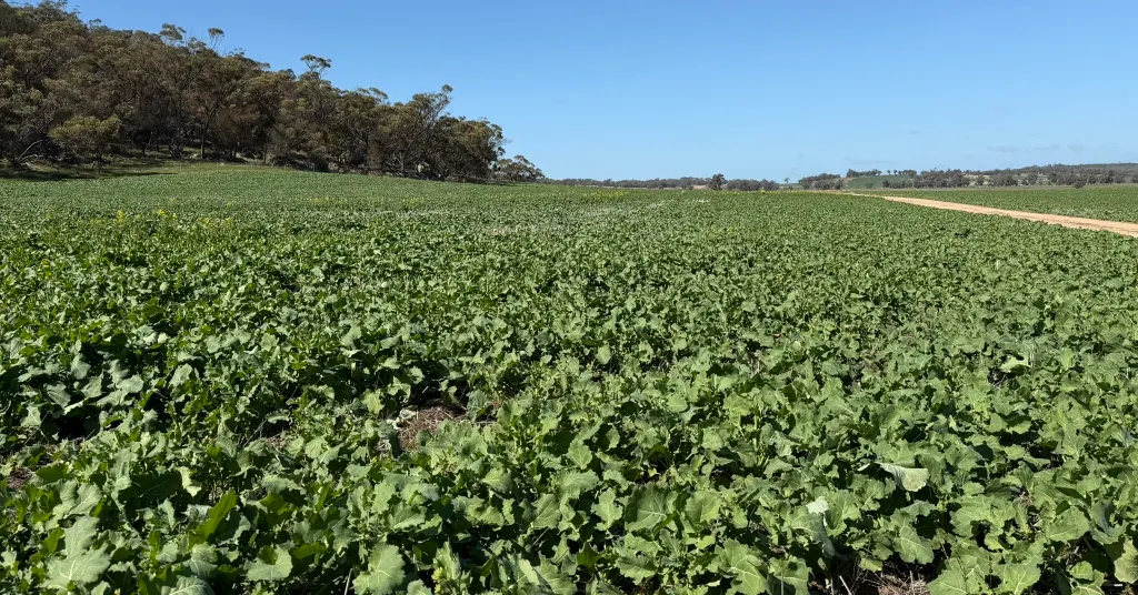 Butchers Road, Dale, WA, 6304 - Image 22