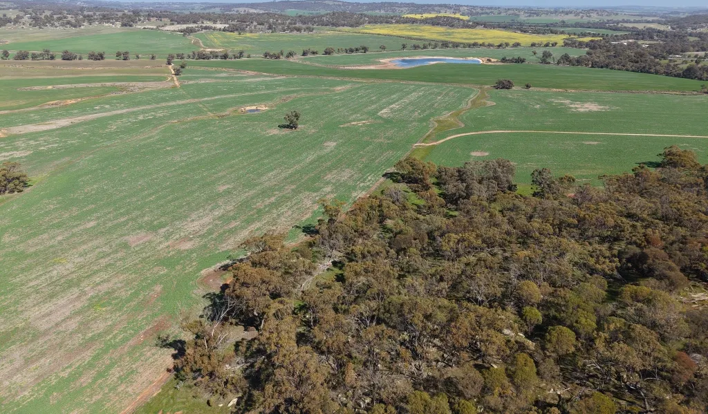 Butchers Road, Dale, WA, 6304 - Image 23