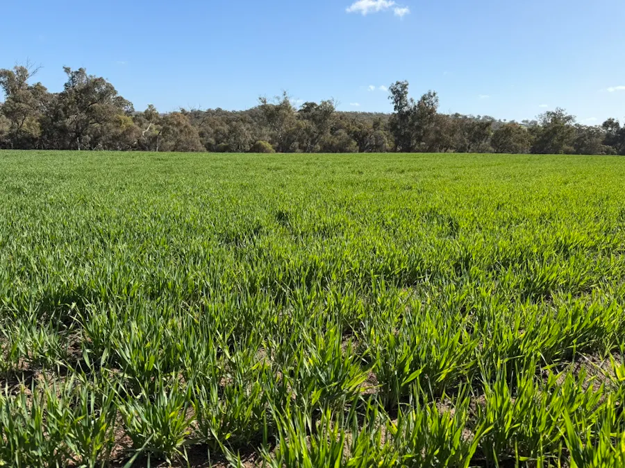 Butchers Road, Dale, WA, 6304 - Image 24