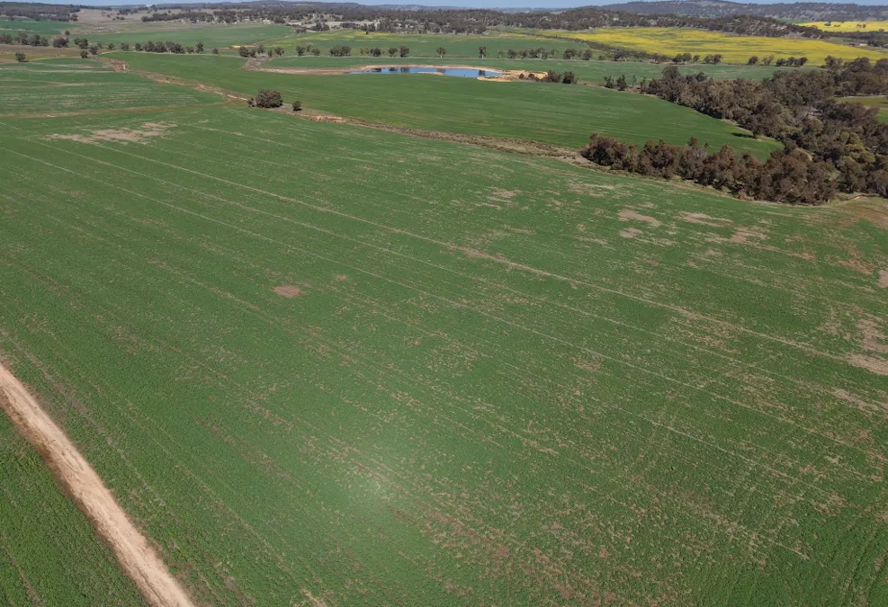 Butchers Road, Dale, WA, 6304 - Image 25