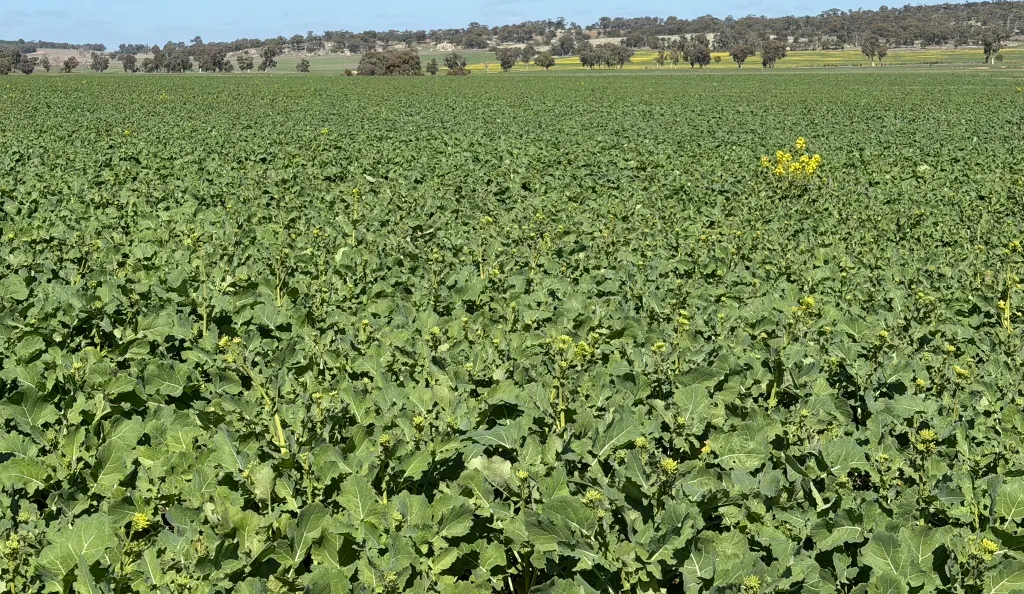 Butchers Road, Dale, WA, 6304 - Image 27