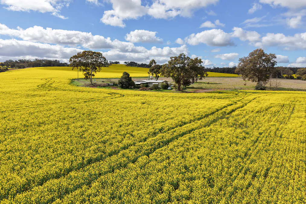 1813 Fisher Road, Mobrup, WA, 6395 - Image 2