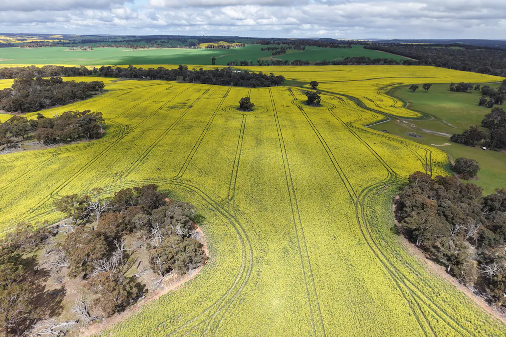 1813 Fisher Road, Mobrup, WA, 6395 - Image 5