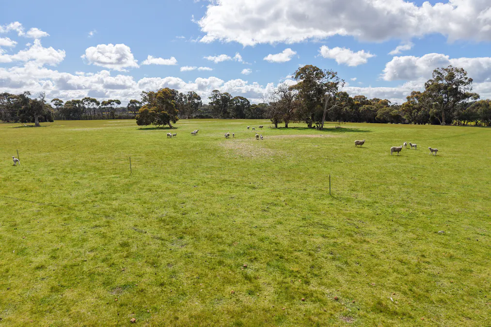 1813 Fisher Road, Mobrup, WA, 6395 - Image 7