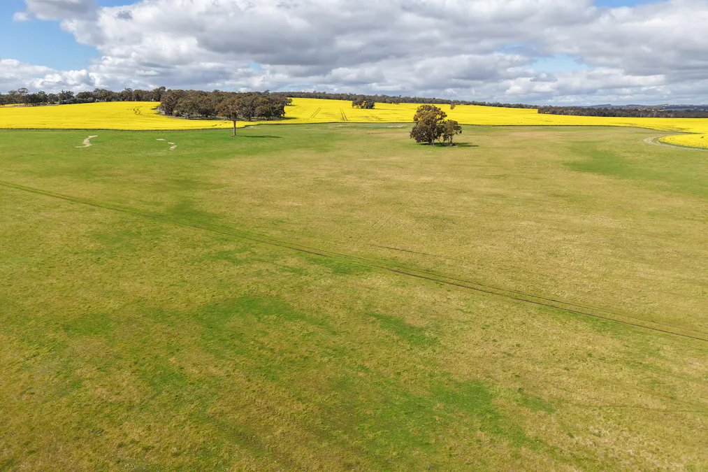 1813 Fisher Road, Mobrup, WA, 6395 - Image 8