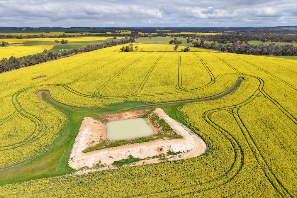 1813 Fisher Road, Mobrup, WA, 6395 - Image 13