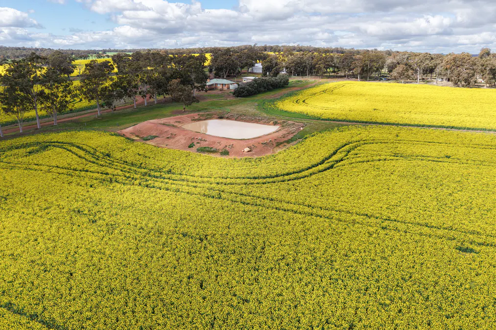 1813 Fisher Road, Mobrup, WA, 6395 - Image 14