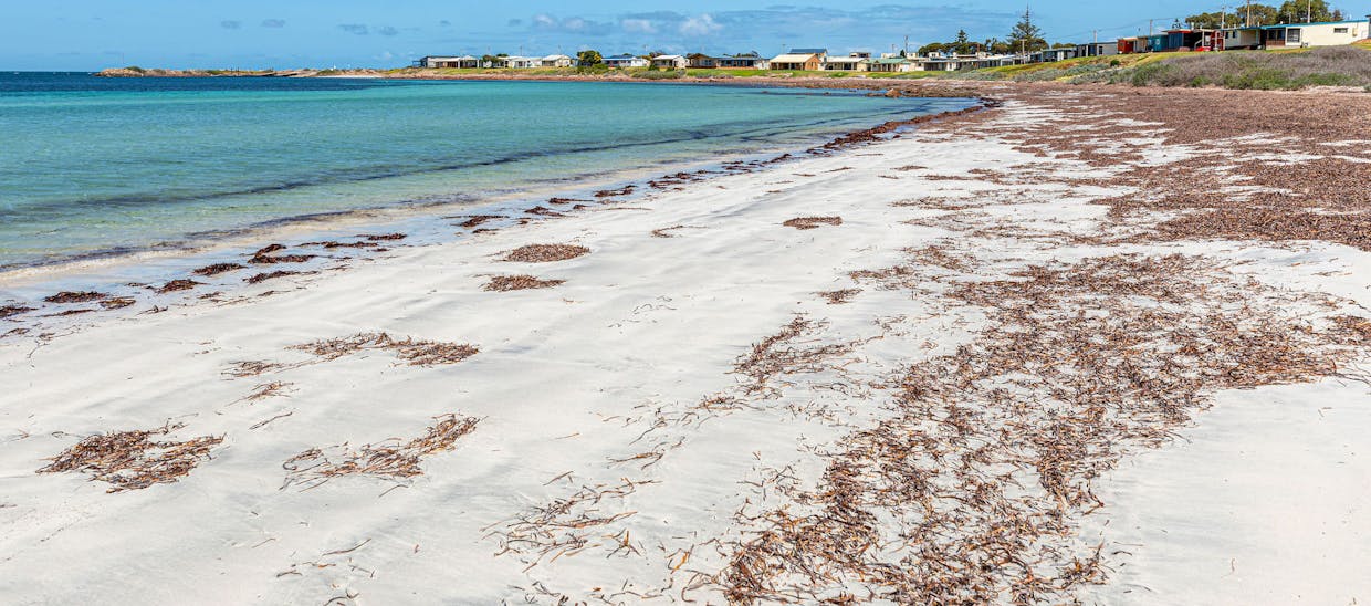 34 Carrow Terrace, Port Neill, SA, 5604 - Image 6