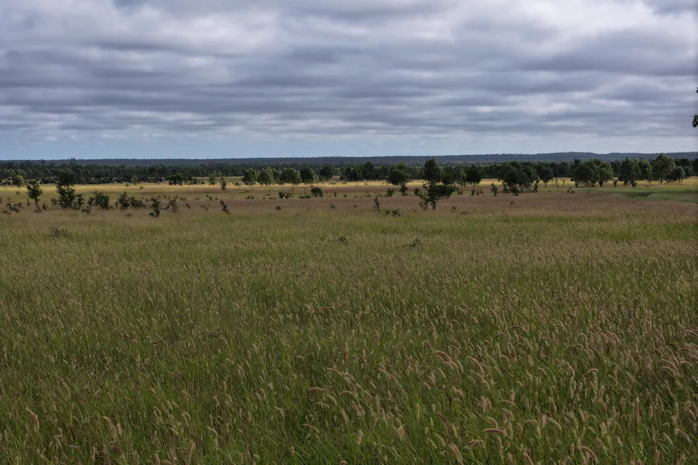 5074 Alpha Tambo Road, Alpha, QLD, 4724 - Image 5