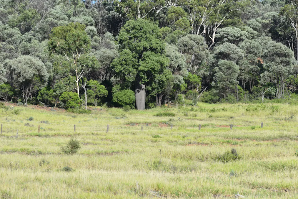 5074 Alpha Tambo Road, Alpha, QLD, 4724 - Image 8