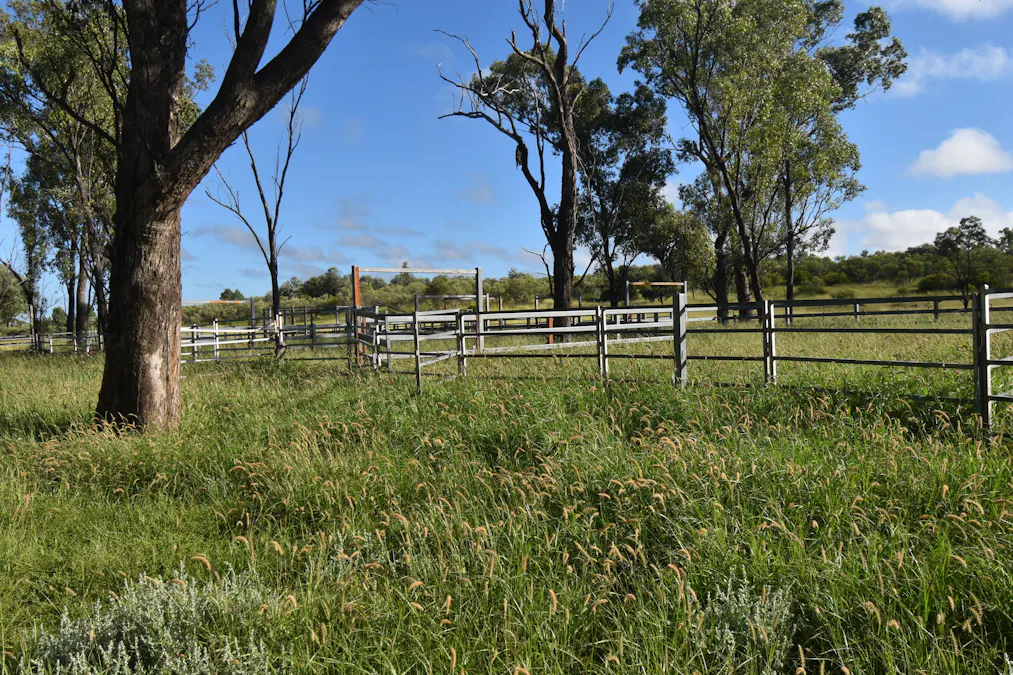 5074 Alpha Tambo Road, Alpha, QLD, 4724 - Image 9