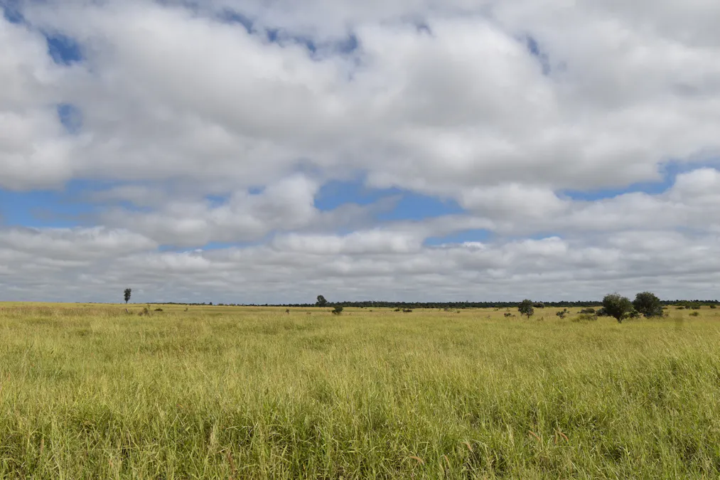 5074 Alpha Tambo Road, Alpha, QLD, 4724 - Image 12