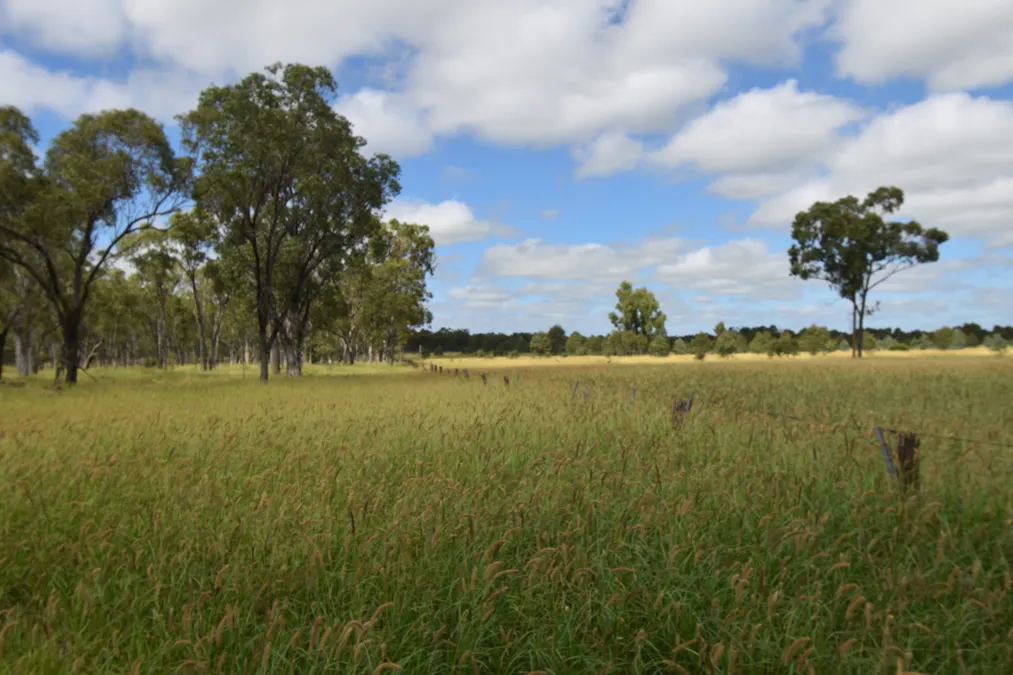 5074 Alpha Tambo Road, Alpha, QLD, 4724 - Image 13