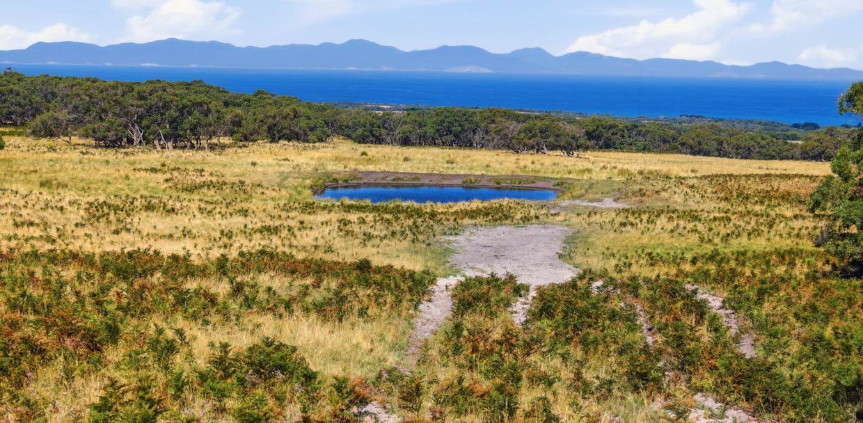 40 Walkerville South Road, Tarwin Lower, VIC, 3956 - Image 2