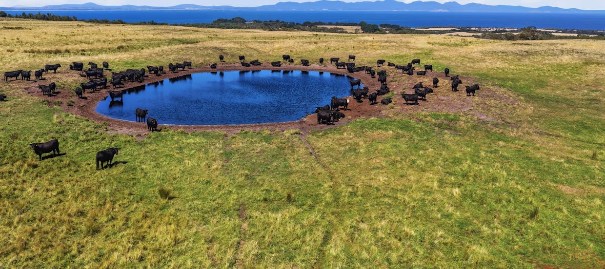 40 Walkerville South Road, Tarwin Lower, VIC, 3956 - Image 7