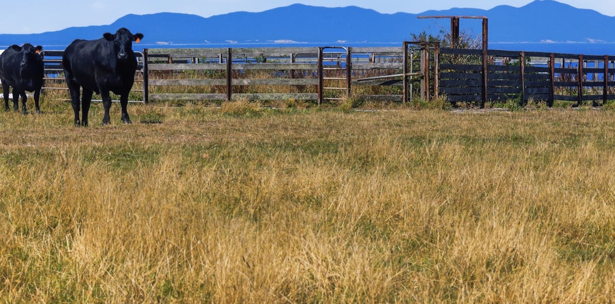 40 Walkerville South Road, Tarwin Lower, VIC, 3956 - Image 8