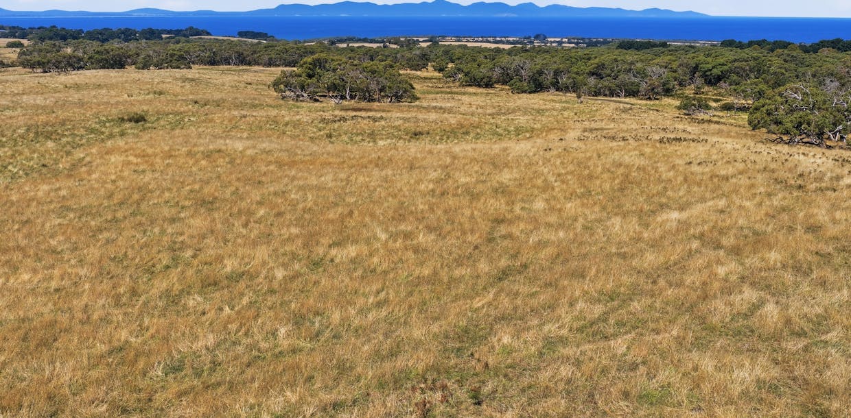 40 Walkerville South Road, Tarwin Lower, VIC, 3956 - Image 12