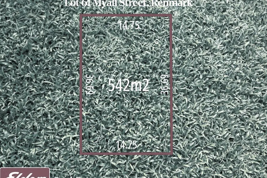 61/Myall Street, Renmark, SA, 5341 - Image 1