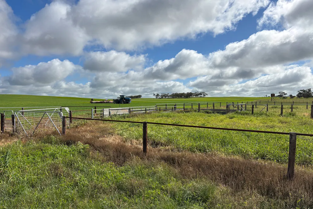 Lot 29 Eyre Highway Road, Poochera, SA, 5655 - Image 4