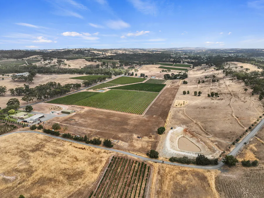 229 Neagles Rock Road, Clare, SA, 5453 - Image 4