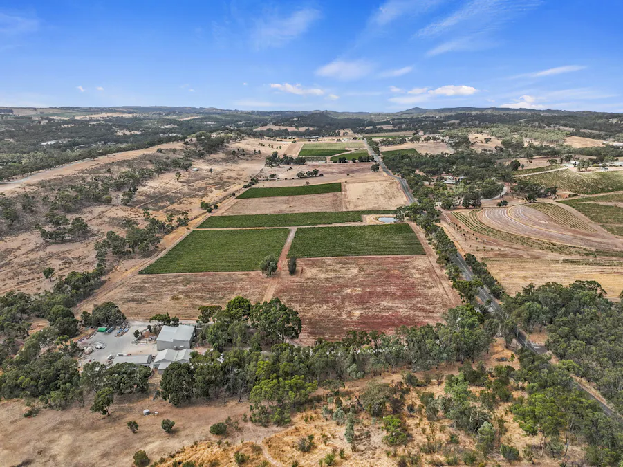 229 Neagles Rock Road, Clare, SA, 5453 - Image 6