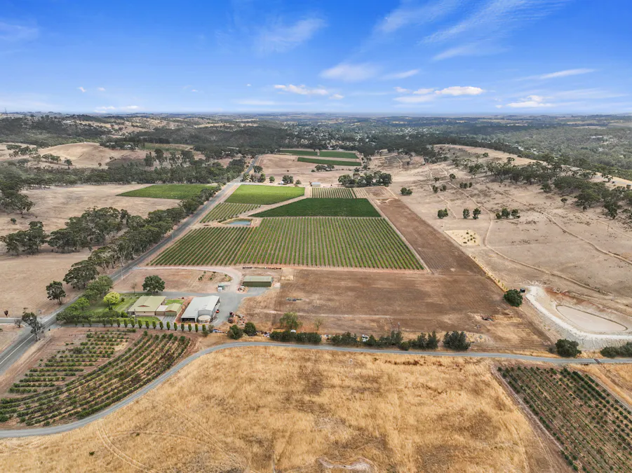 229 Neagles Rock Road, Clare, SA, 5453 - Image 3