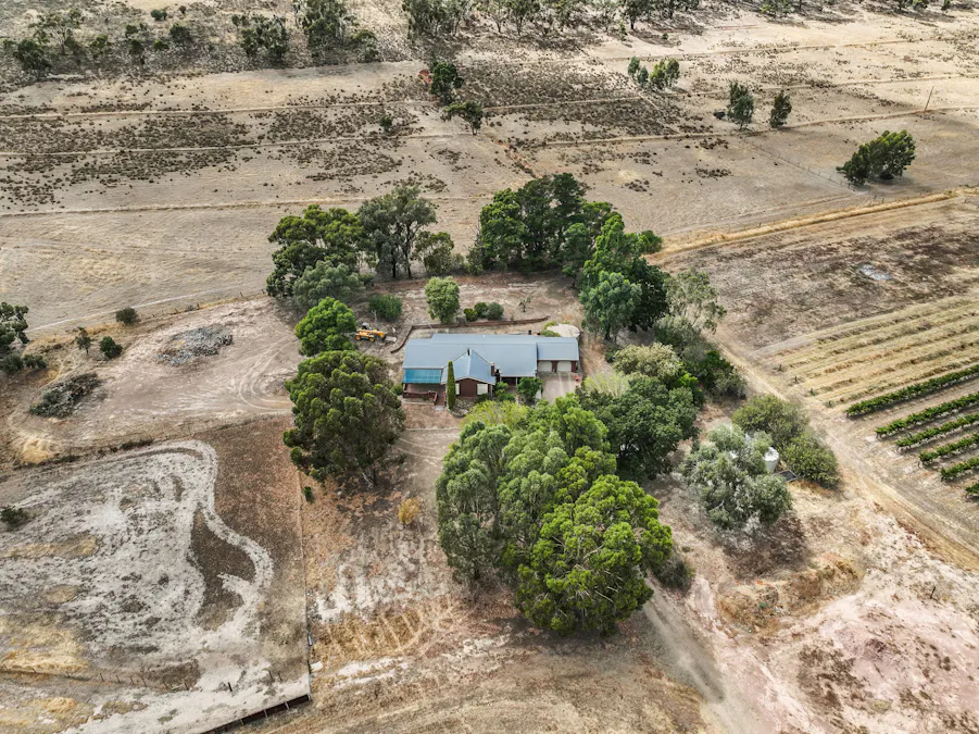 229 Neagles Rock Road, Clare, SA, 5453 - Image 2