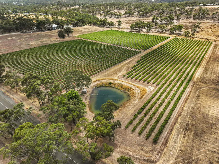 229 Neagles Rock Road, Clare, SA, 5453 - Image 8