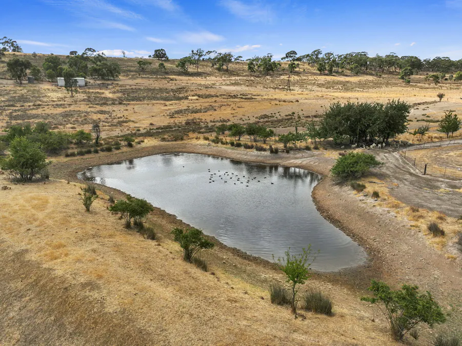 229 Neagles Rock Road, Clare, SA, 5453 - Image 9