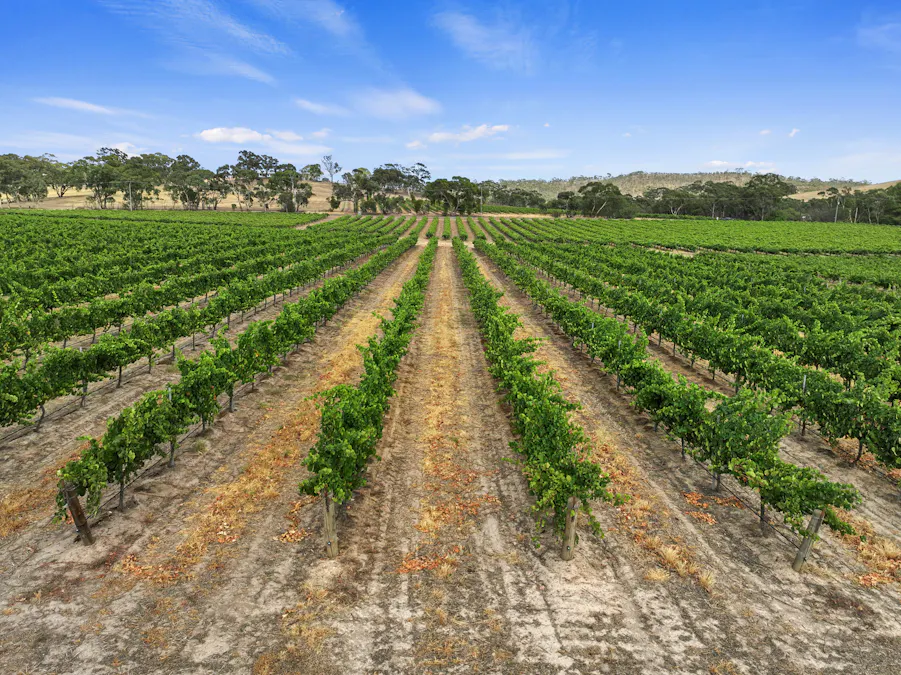 229 Neagles Rock Road, Clare, SA, 5453 - Image 13