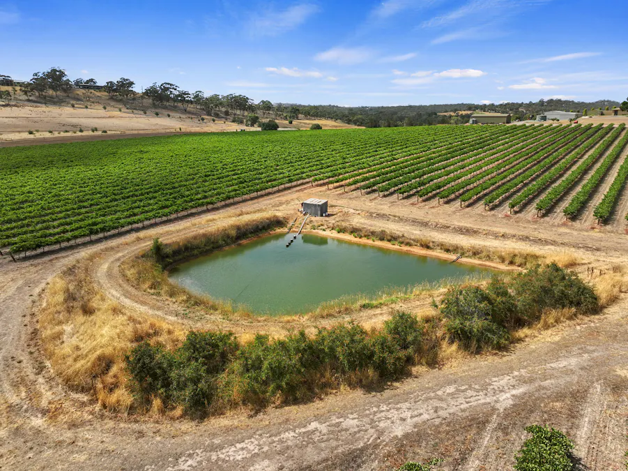 229 Neagles Rock Road, Clare, SA, 5453 - Image 15